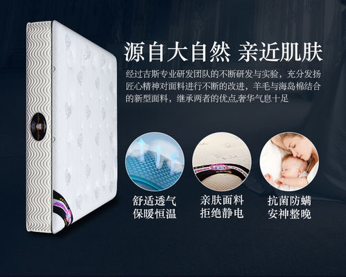 吉斯乳膠床墊席夢思椰棕墊加厚保暖雙人1.8m彈簧記憶棉軟硬兩用價格,圖片,參數(shù) 家具臥室家具床墊 北京房天下家居裝修網(wǎng)